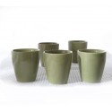 Coffret bois 5 tasses verte