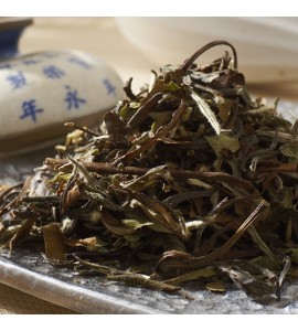 Bai Mu Dan "Elegance" 